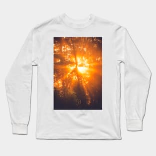 Sunbeams through tree in morning fog Long Sleeve T-Shirt